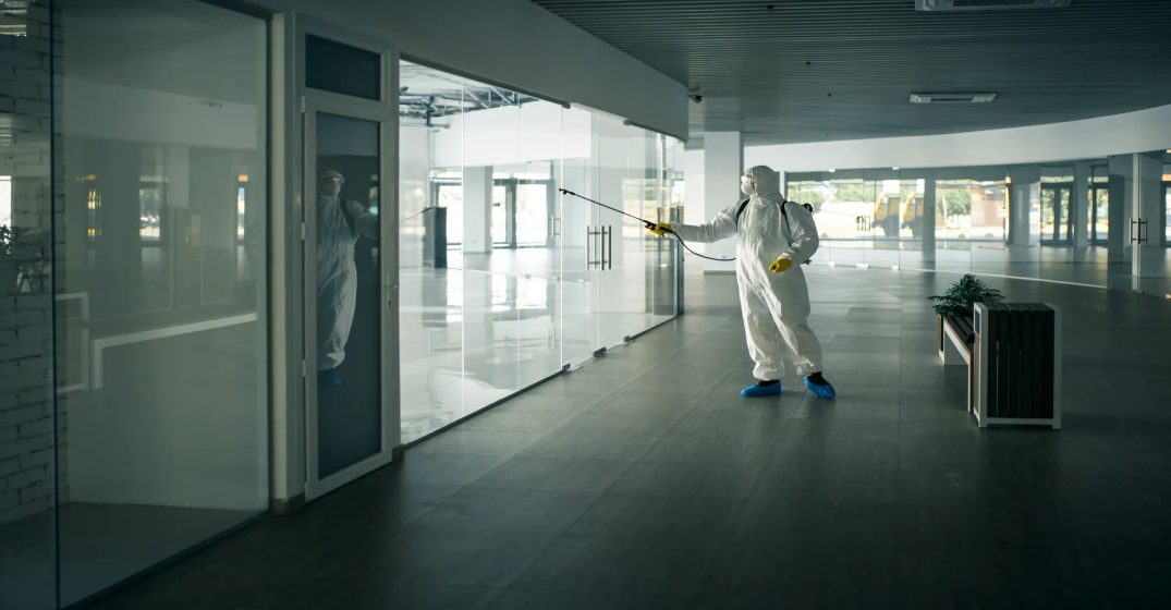 Saubere Wohnräume dank professioneller Reinigung
